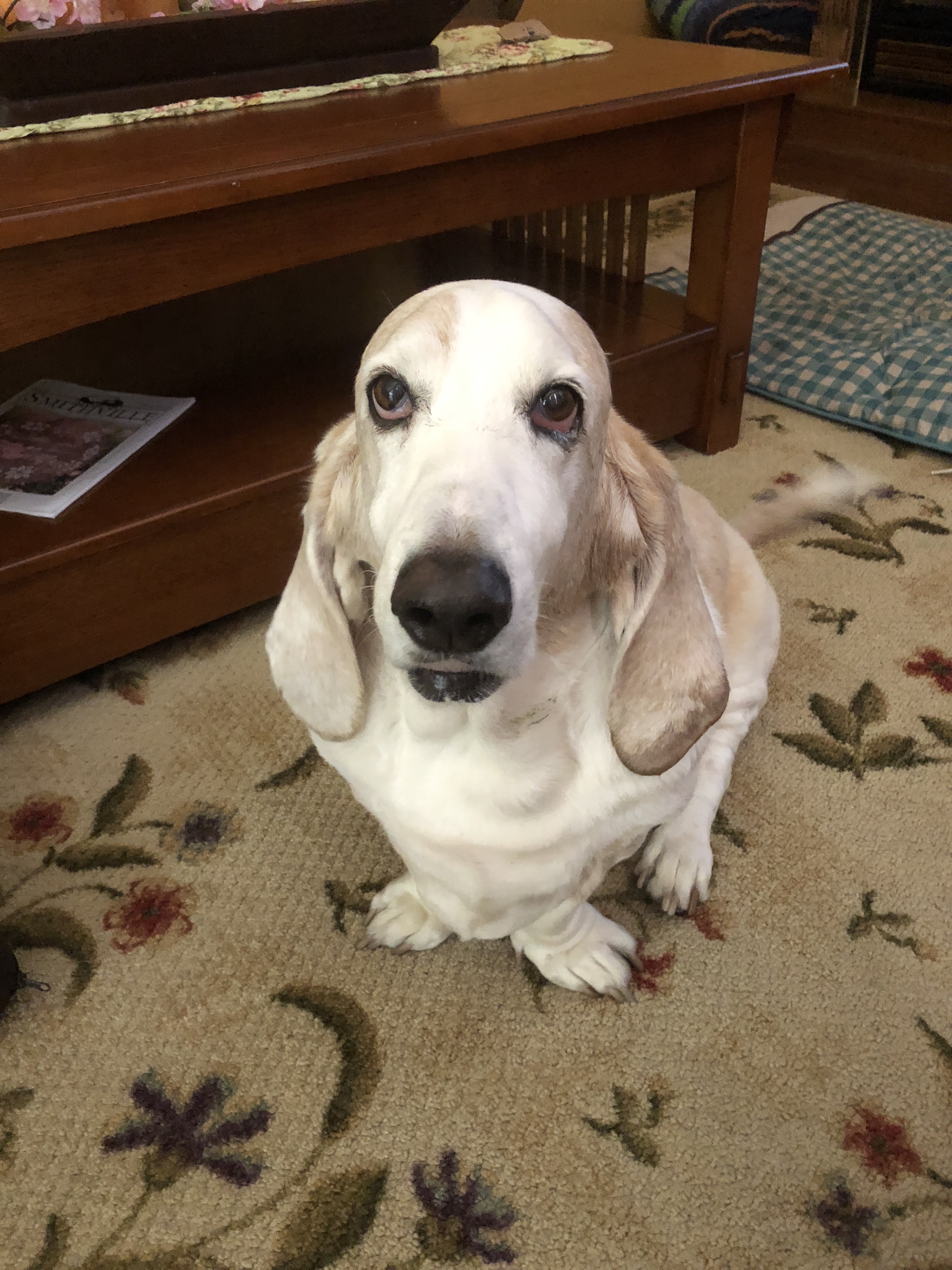 Winston III