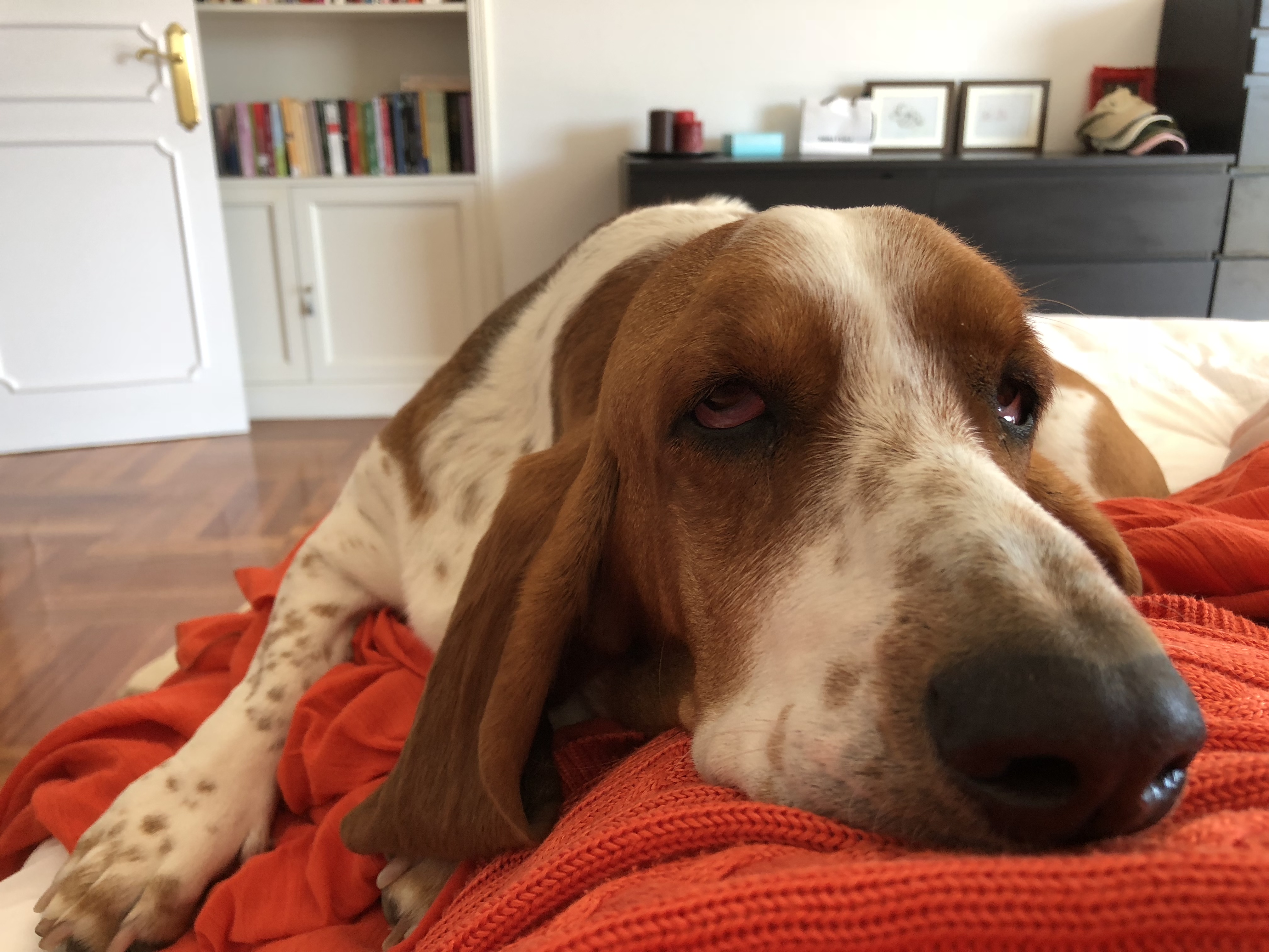 Monty