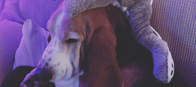 Marley