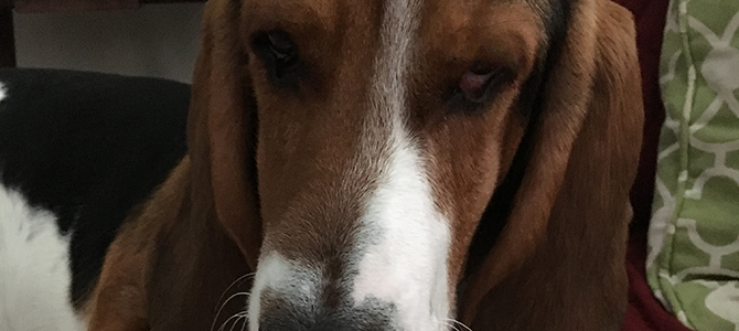 Sebastianvon